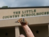 26-Little Country Schoolhouse Child Care Clarksville Tennessee